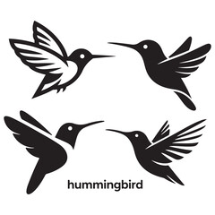 Vector Illustration Set of Flying Bird Silhouettes in Nature Style