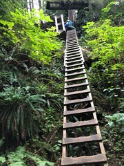 West Coast Trail