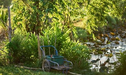 Tranquil Countryside Scene with Farming Cart beside Pond