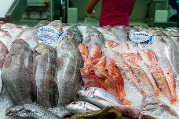 Santa Cruz de Tenerife town capital of Tenerife island Canary islands Spain fresh fish for sale in the market