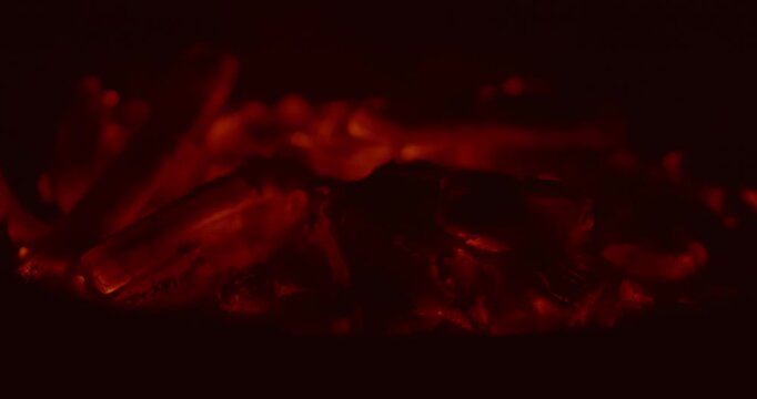 Burning Firewood and Charcoal in a Rural Kiln with Flying Fire Particles
