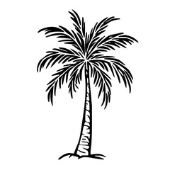Refined Artistic Palm Tree Symbol as Line Vector Graphic with Solid Black Contours on Stark White Backdrop