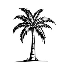 Detailed Minimalistic Palm Tree Icon Line Vector Design on White Background with Crisp Black Lines
