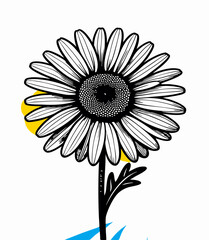 Black and White Daisy Flower Line Art Illustration