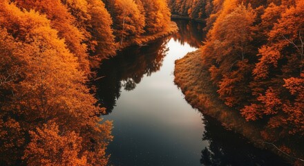 Autumn leaves reflecting on serene river landscape