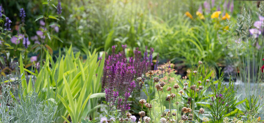 Garden, Gardening Background, header, Banner with different plants