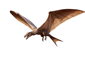 Fototapeta premium Conceptual depiction of a pterodactyl in flight against a transparent background showcasing its impressive wingspan and prehistoric features