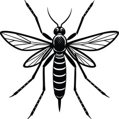 A captivating black and white vector of a dragonfly silhouette and a spider depicts the intricate macro world of insect wildlife