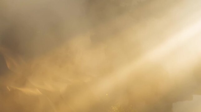 Elegant and atmospheric motion background of soft golden light filtering through a mysterious, dense fog.

