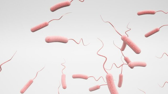 Legionella Bacteria in Water - Microscopic View