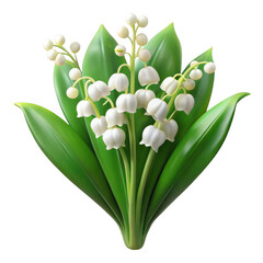 Obraz premium A delicate bouquet of white lily of the valley flowers with green leaves isolated on transparent background