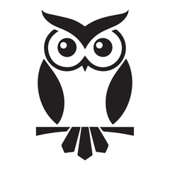 owl on white background