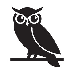 owl on white background