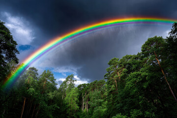 Colorful rainbow arcs over lush green forest during a dramatic weather change in the afternoon