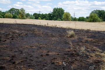 Scorched grass at Rammey Marsh, Enfield, London, after wildfires. Charred ground shows the aftermath of extreme heat and fire damage.