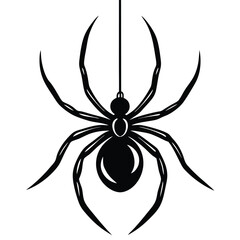 Creepy black widow spider on a web, an isolated arachnid of nature, perfect for a scary Halloween illustration