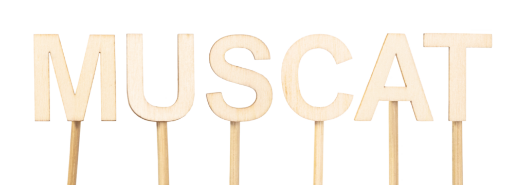Muscat, capital of Oman, built with wooden letters on neutral background, perfect for illustrating Middle Eastern geography. Capital cities of the world