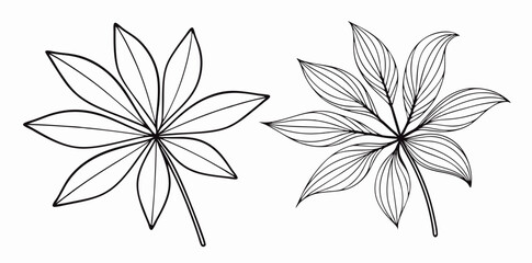 Two Line Art Drawings of Leaves, Botanical Illustration