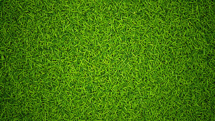 Vibrant Green Grass Texture: Lush, Springy, Natural Background