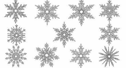 Collection of Detailed Snowflakes in Black and White Illustrations for Winter and Holiday Design