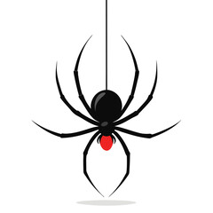 Creepy black widow spider on a web, an isolated arachnid of nature, perfect for a scary Halloween illustration