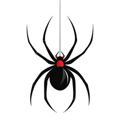 Creepy black widow spider on a web, an isolated arachnid of nature, perfect for a scary Halloween illustration