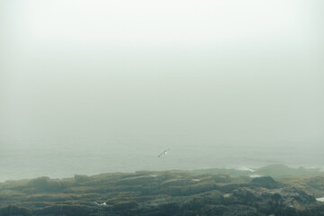 Fog over Atlantic Ocean