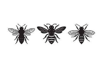 Bee Silhouette Vector Set Black Insect Icons with Detailed Wings for Logo, Art, and Design