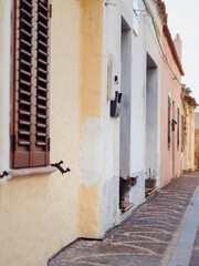 Stray Cat on Doorstep Along a Narrow Cobblestone Street in Golfo Aranci, Sardinia. Vertical View of...