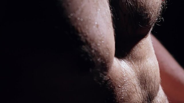 Sweaty Hairy Muscular Male Torso After Intense Workout