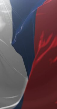 Misiones Province Flag, Argentina. Loop. 4K Vertical