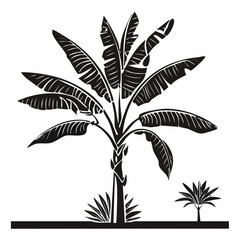 Banana Tree Vector Image. Banana tree vector silhouette illustration