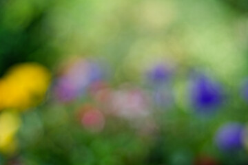 colorful bokeh background