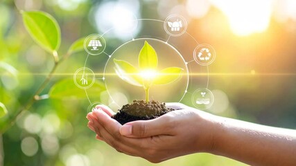 Sprout of Life: Nurturing Growth and Sustainability with a Touch of Technology and Nature