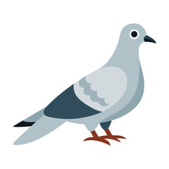 Light Gray Pigeon Bird Illustration Dark Blue Tail