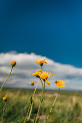 20250515-151508-untitled.ARW