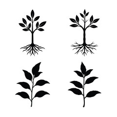Tea plant silhouette bundle collection 
