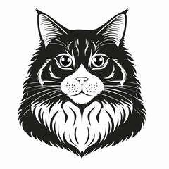 Norwegian Forest Cat Vector Image isolated on white background.