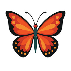 Orange Butterfly Illustration Black Outline Red Orange Yellow Spots