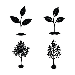 Fototapeta premium Tea plant silhouette bundle collection 