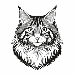 Norwegian Forest Cat Vector Image isolated on white background.