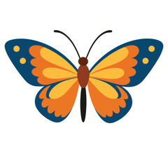 Orange and Teal Butterfly Illustration Simple Design