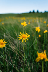 20250515-162656-untitled.ARW