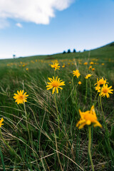 20250515-162658-untitled-3.ARW