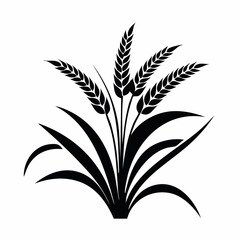 Rice Plant Image vector. silhouette rice plant vector design Stock Vector