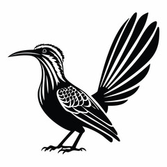 Roadrunner vector illustration. Roadrunner silhouette vector illustration