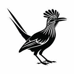 Roadrunner vector illustration. Roadrunner silhouette vector illustration