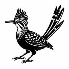 Roadrunner vector illustration. Roadrunner silhouette vector illustration