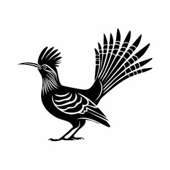 Roadrunner vector illustration. Roadrunner silhouette vector illustration