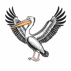 Pelican Spread Wings Image vector isolated on white background.